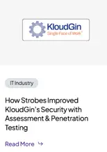 PTaaS for Kloudgin (US IT Company)